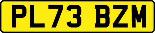 PL73BZM