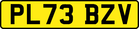 PL73BZV