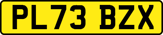 PL73BZX