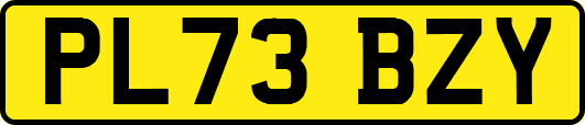 PL73BZY
