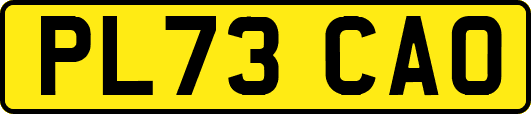 PL73CAO