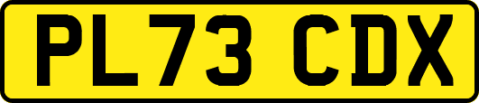 PL73CDX
