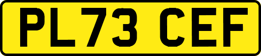 PL73CEF