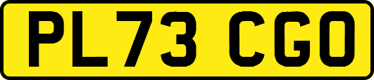 PL73CGO
