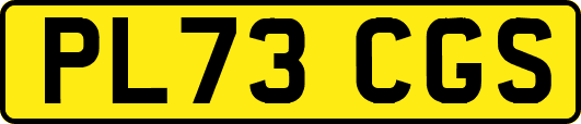 PL73CGS