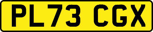 PL73CGX