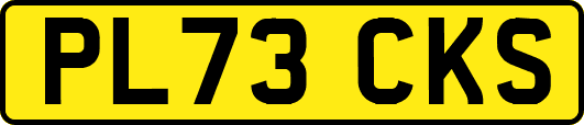 PL73CKS