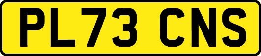 PL73CNS