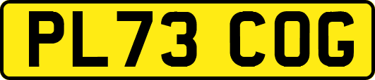 PL73COG