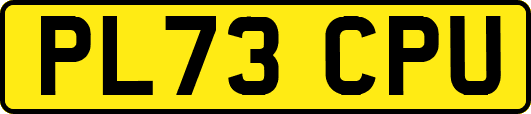 PL73CPU