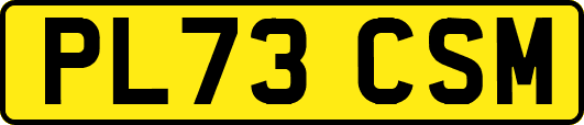 PL73CSM