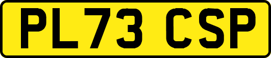 PL73CSP