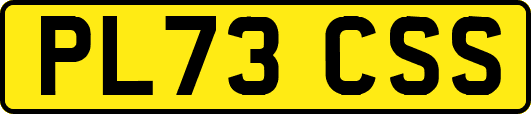 PL73CSS