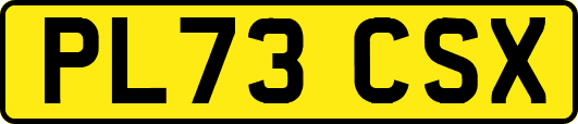 PL73CSX