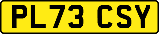 PL73CSY