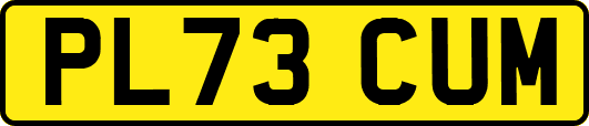 PL73CUM