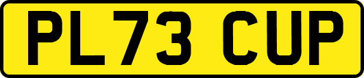 PL73CUP