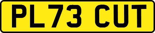 PL73CUT