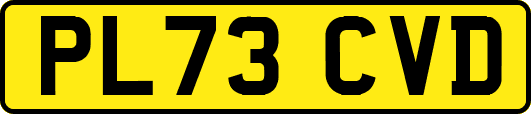 PL73CVD