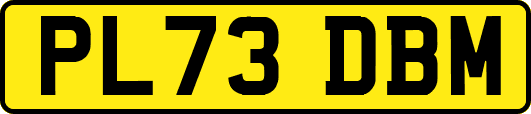 PL73DBM