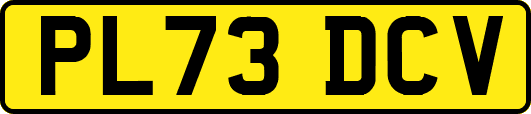 PL73DCV