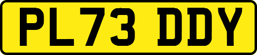 PL73DDY