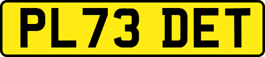 PL73DET