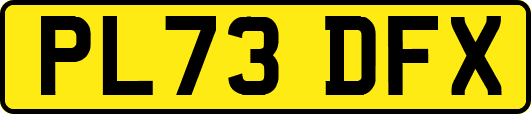 PL73DFX