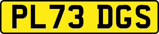 PL73DGS
