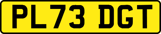PL73DGT