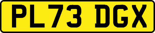 PL73DGX