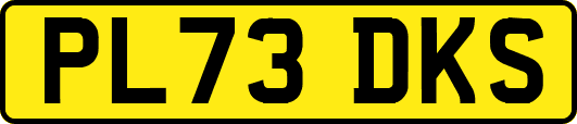 PL73DKS