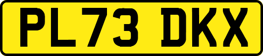 PL73DKX