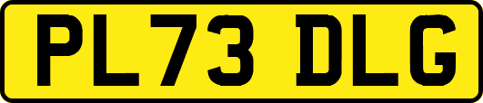 PL73DLG
