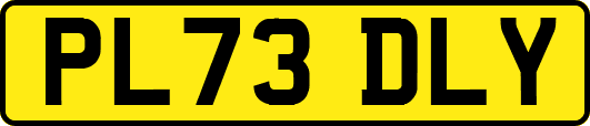 PL73DLY