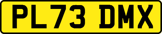 PL73DMX