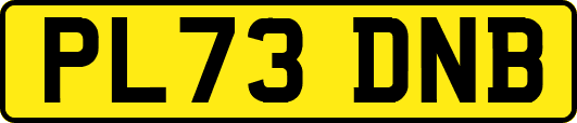 PL73DNB