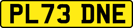 PL73DNE