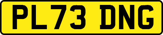 PL73DNG