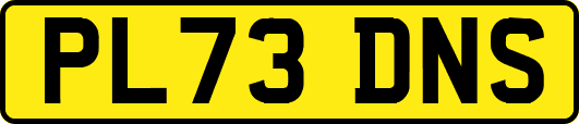 PL73DNS