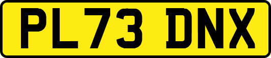 PL73DNX