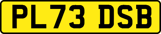 PL73DSB