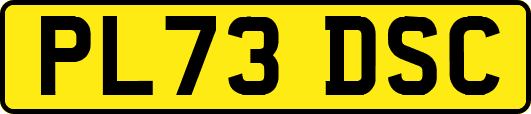 PL73DSC