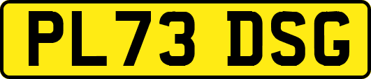 PL73DSG