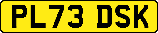 PL73DSK