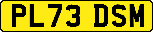 PL73DSM