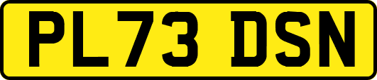 PL73DSN