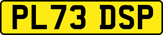 PL73DSP