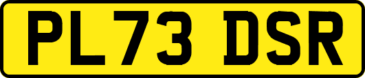 PL73DSR