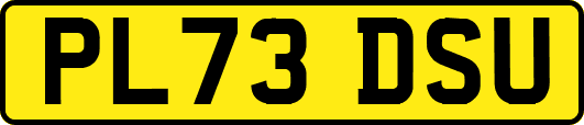 PL73DSU